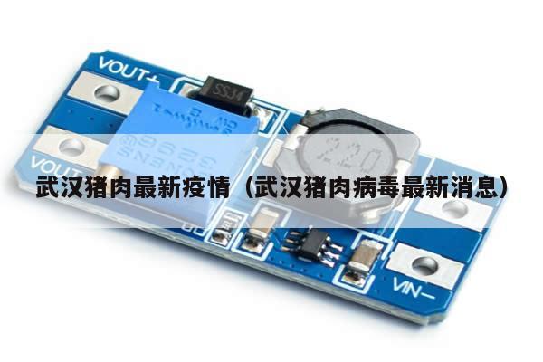 武汉猪肉最新疫情(武汉猪肉病毒最新消息)